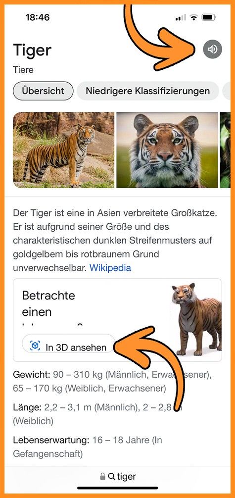 Auf dem Desktop habe ich nur einen Lautsprecher-Button entdeckt, der ein Tigergebrüll abspielt