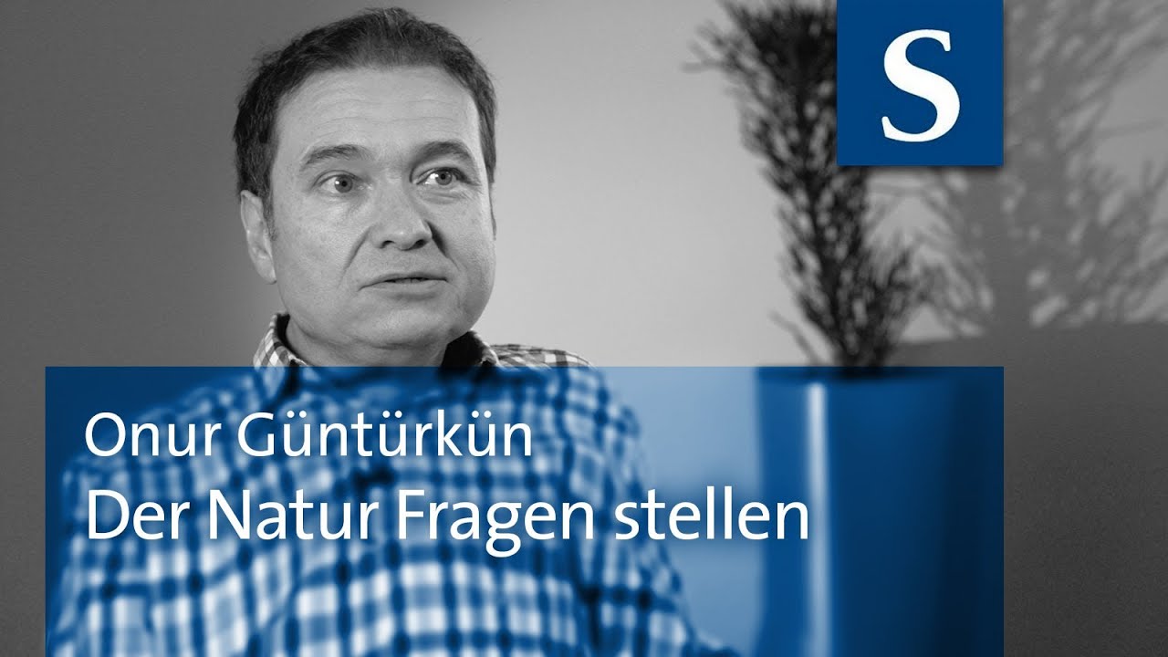 Interviewserie mit ProfessorInnen für den Stifterverband